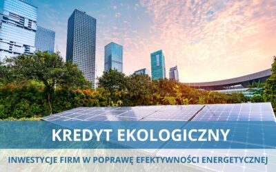 Kredyt ekologiczny – inwestycje firm w poprawę efektywności energetycznej