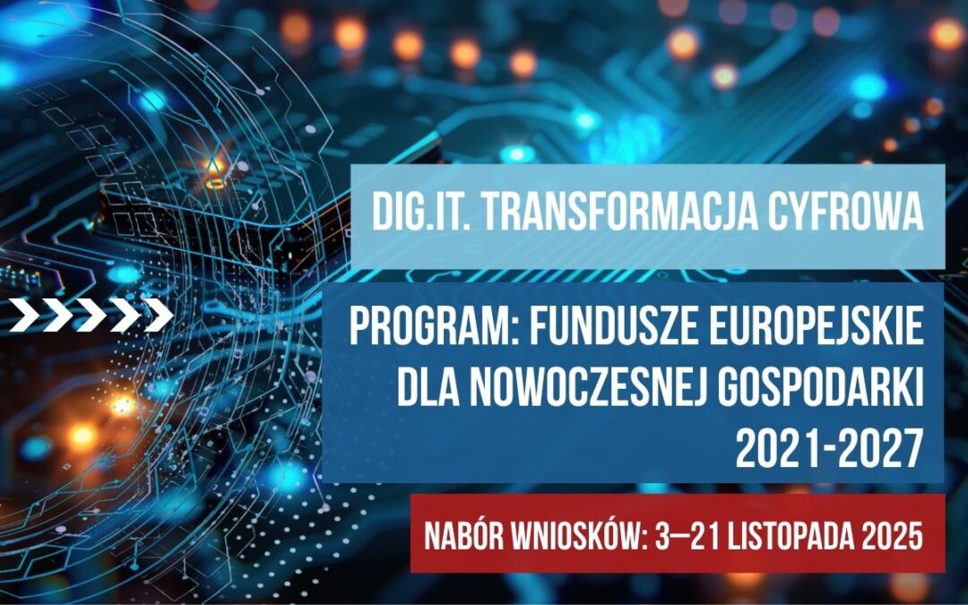 Wsparcie dla biznesu w ramach projektu DIG. IT