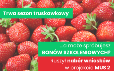 Sezon na rozwój firmy trwa przez cały rok!